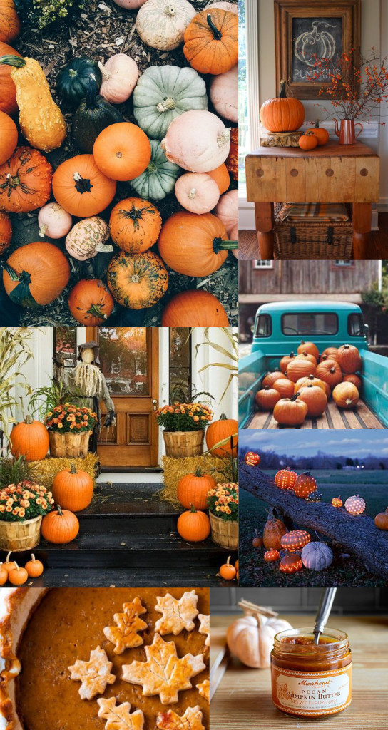 Pumpkin_Moodboard